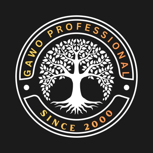Gawo Professional FC