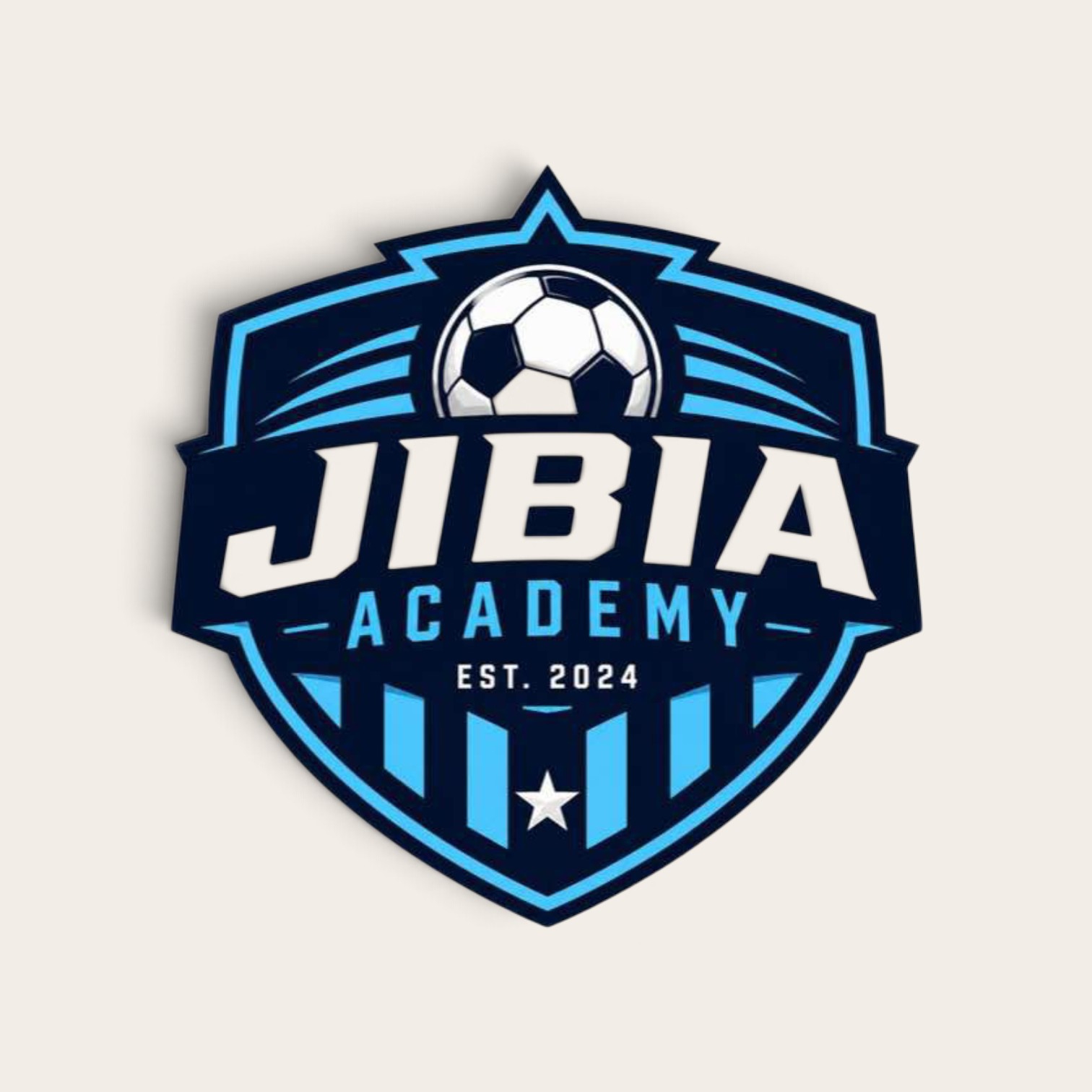 Jibia Football Academy
